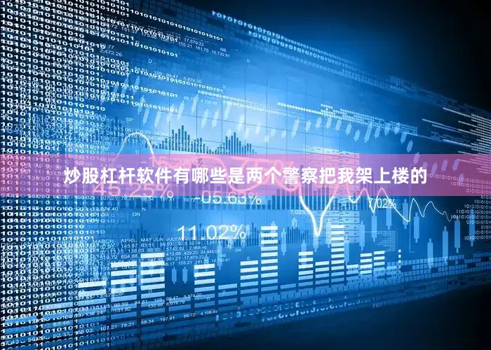 炒股杠杆软件有哪些是两个警察把我架上楼的